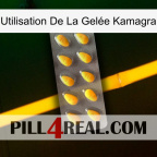 Utilisation De La Gelée Kamagra cialis1